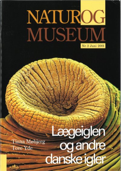 Lægeiglen og andre danske igler